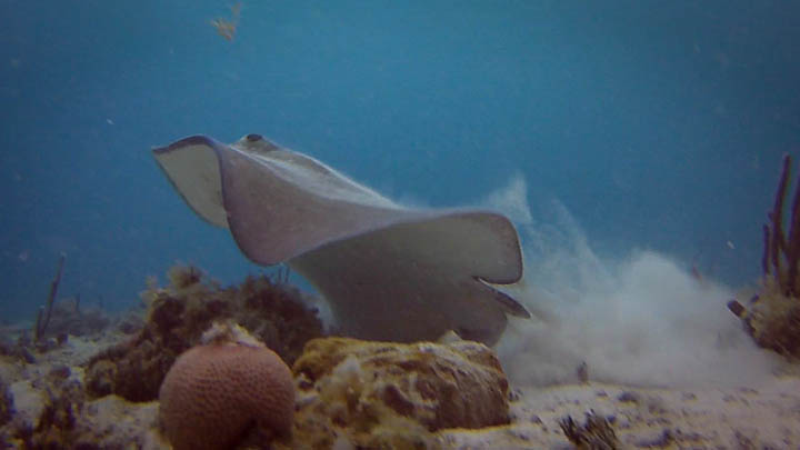 stthomas6.jpg